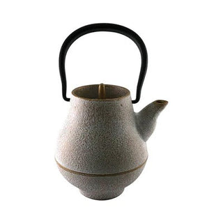 南部鉄器|茶壺|芽型|白色